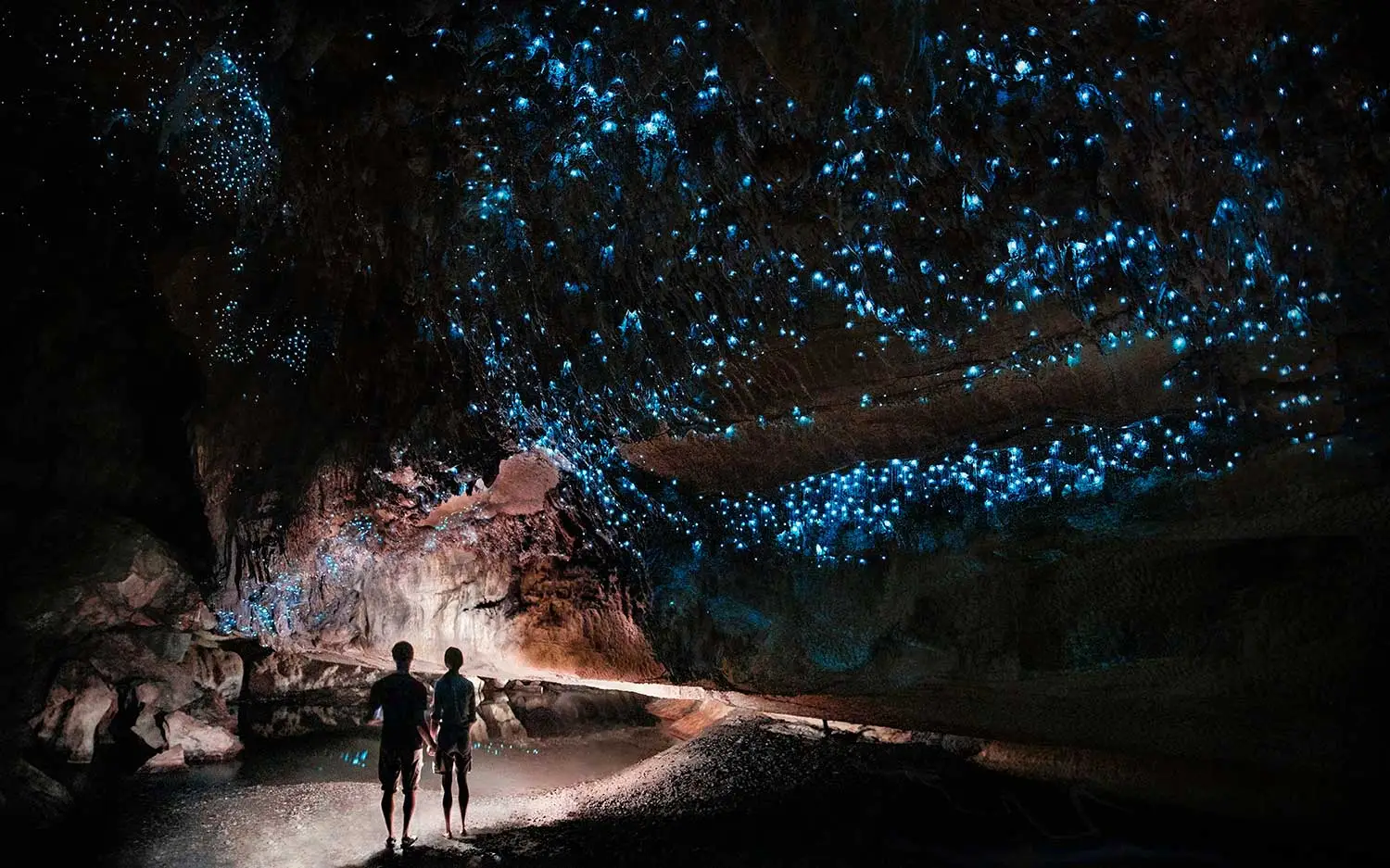 Glowworm Caves South Island New Zealand