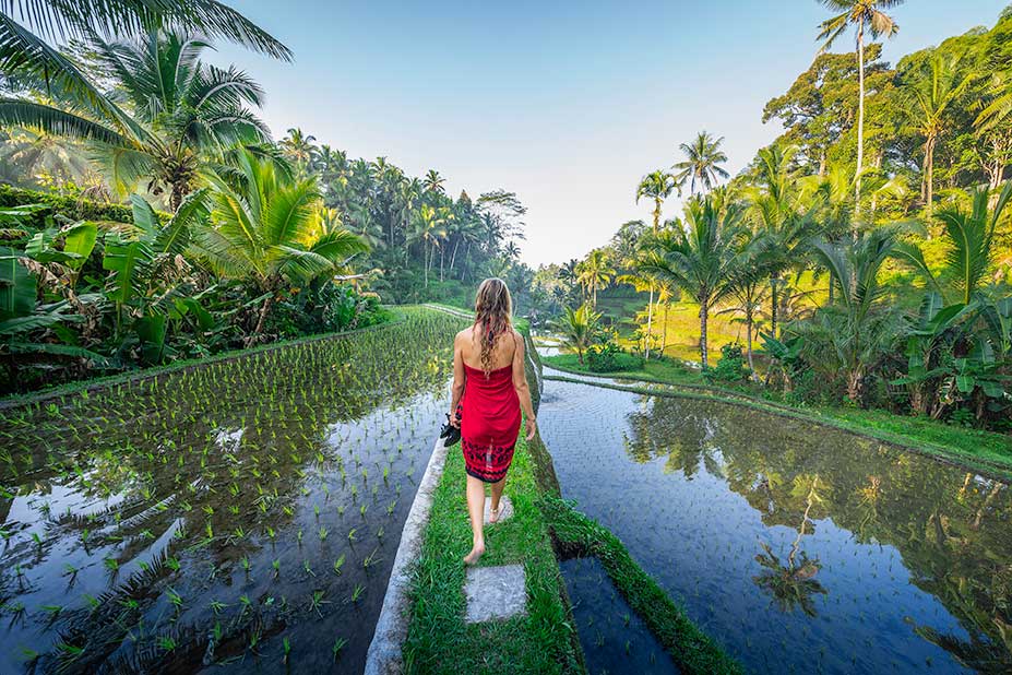 Bali travel Tegalalang Rice Terrace